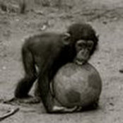 Ian Bickerstaffs foto