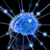 Brain Pies foto