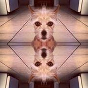 Jeff Tsang's photo
