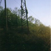 Anna Pascale's photo