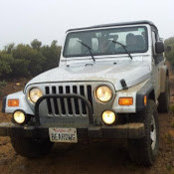 Alfred Johnson IV's photo