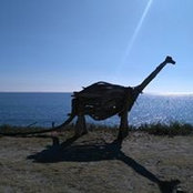 Simona Socchetti's photo