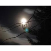 Douglas Vrooman's photo