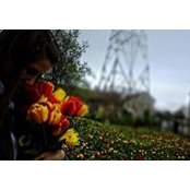 Sefora Detesan's photo