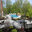 Gamboa Landscaping LLC
