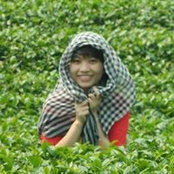 Nguyen Lan's photo
