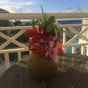 Denise Witte's photo