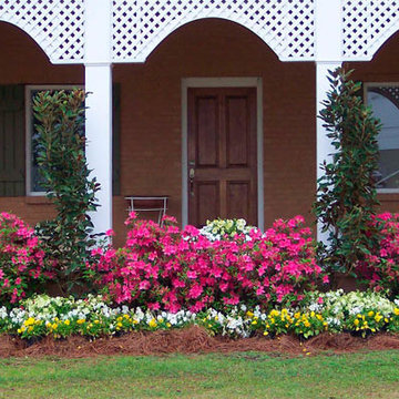 Encore Azalea Landscape