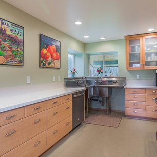 Zweizeilige, Mittelgroße Industrial Küche ohne Insel mit Vorratsschrank, Triple-Waschtisch, Schrankfronten mit vertiefter Füllung, hellbraunen Holzschränken, Edelstahl-Arbeitsplatte, Küchenrückwand in Weiß, Küchengeräten aus Edelstahl und Vinylboden in Sonstige