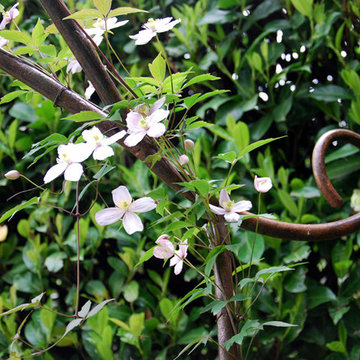 Giardino in collina