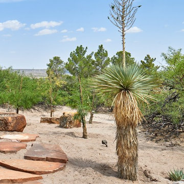 Elephant Butte New Mexico Asian Costa Rican