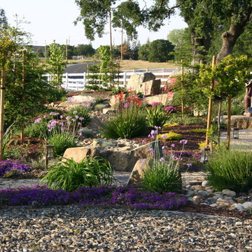 Liquid FX Pools - Valley Springs Kathy project