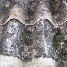5 Tips MAnaging Asbestos