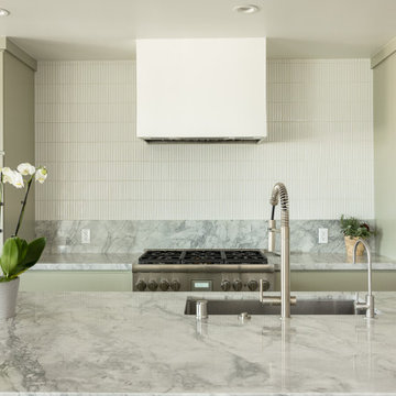 Sleek Hermosa Beach Mid-Century Modern Kitchen Remodel