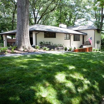 Modern and dog-friendly landscape