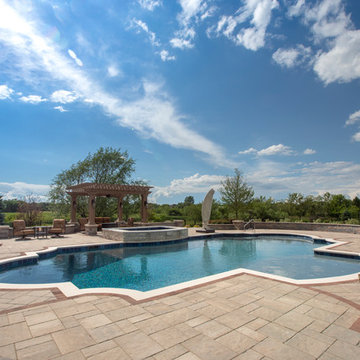 Elgin, IL Roman End Pool with Freeform Hot Tub