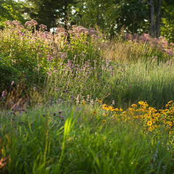 Meadow Farm