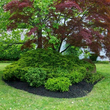 Katzmen Spring Clean-up and Reclamation