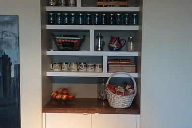Example of a minimalist kitchen design in Calgary