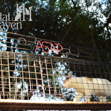 Animal Shelter Assistance Program (ASAP)