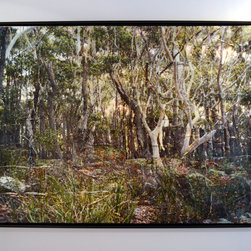 Artwork - National Park - Artwork