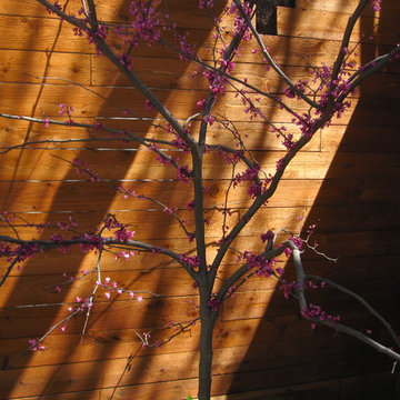 A wrap around garden with a fabulous water featurel!