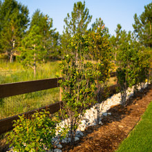 Quartz Circle Landscaping