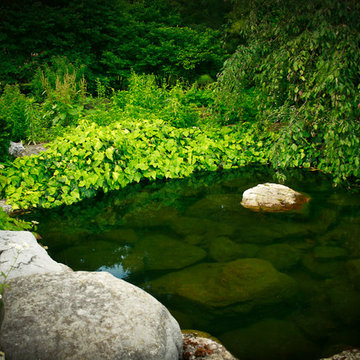 Reflecting Pond
