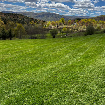 Professional Lawn Care & Mulch Installation