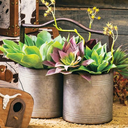 Dusty Road - Decorative Accents