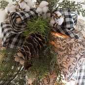 Ramona Foote's photo
