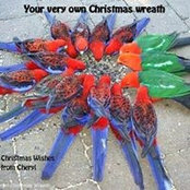 Cheryl Scott's photo