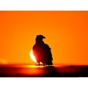 Kimberly Baxter's photo