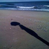John Moon's photo