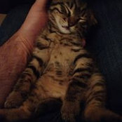 Murat Pulatkonak's photo