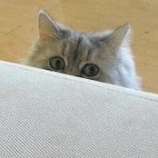 Foto de 撕紙音