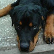 Denise Canale's photo