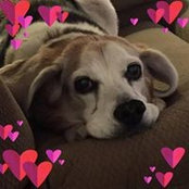 Michelle Dils Girod's photo