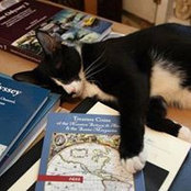 Carol Tedesco's photo