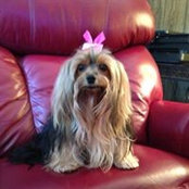 Jimmie Ann Brown's photo