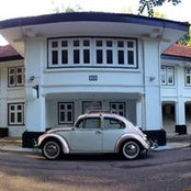 Ai Ling Koh's photo