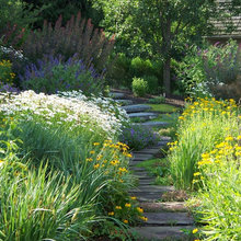 Landscape Ideas