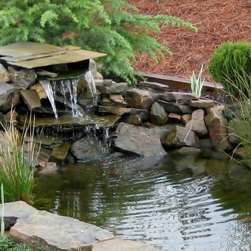 Pond Projects