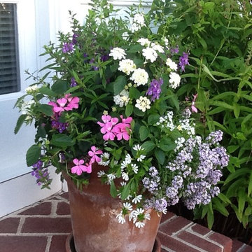 Container Gardens