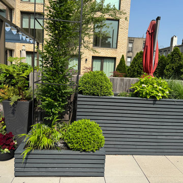 Carroll Gardens Rooftop Terrace