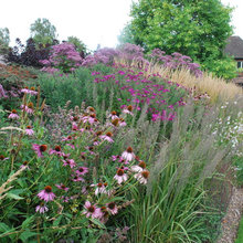 Border Garden