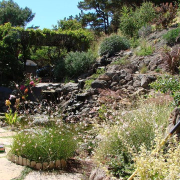 Hardscape Pathways Waterfeatures