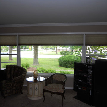 Honeycomb Cellular & Pleated Shades