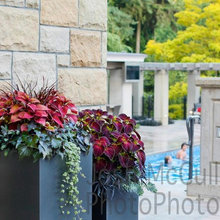 Container Gardening!!
