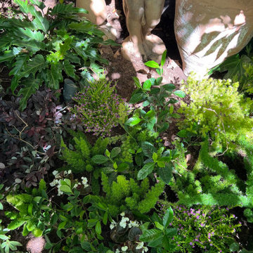 Landscape Designs